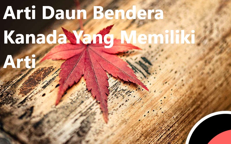 Arti Daun Bendera Kanada Yang Memiliki Arti